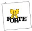 Praca Fabryki Mebli "FORTE"SA