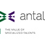 Praca Antal Multi-Recruitment