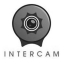 Praca Intercam Studios Poland Sp. z o.o. Sp. k.