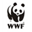 Praca Fundacja WWF Polska