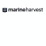 Praca Marine Harvest