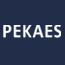 Praca PEKAES SA
