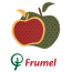 Praca FRUMEL