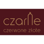 CZARNE CZERWONE ZŁOTE sp. z o.o. SPÓŁKA KOMANDYTOWA CZARNE CZERWONE ZŁOTE sp. z o.o. SPÓŁKA KOMANDYTOWA