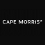 CAPE MORRIS PL SP Z O O CAPE MORRIS PL SP Z O O
