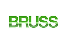 Bruss Polska Sp. z o.o. Bruss Polska Sp. z o.o.
