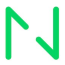 NETGURU S.A. NETGURU S.A.