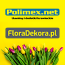Polimex.net Spółka z o.o. Sp. k. Polimex.net Spółka z o.o. Sp. k.