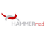 HAMMERMED Medical Polska Sp.z.o.o Spółka komandytowa HAMMERMED Medical Polska Sp.z.o.o Spółka komandytowa