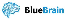 Bluebrain Sp z o.o. Sp.k. Bluebrain Sp z o.o. Sp.k.