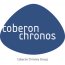 Coberon Chronos Group - Spedytor drogowy