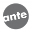 Ante-holz  - Product Manager
