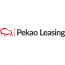 PEKAO LEASING SP. Z O.O. - Analityk Biznesowy w Biurze IT i Systemów