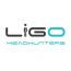Ligo Headhunters