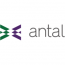 Antal Engineering & Operations