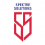 SPECTRE SOLUTIONS SPÓŁKA Z OGRANICZONĄ ODPOWIEDZIALNOŚCIĄ - Pilot doświadczalny BSP