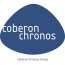 Coberon Chronos Group - Key Account Manager - Sales Manager (POS, tektura kaszerowana, lita, falista)