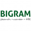 BIGRAM S.A.
