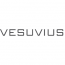 VESUVIUS POLAND SP. Z O.O.