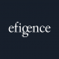 efigence S.A. - Java Team Leader