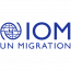 IOM Międzynarodowa Organizacja ds Migracji