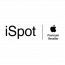 iSpot Poland Sp. z o.o. - Specjalista/ka ds. Logistyki i Audytu