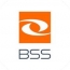 Business Support Solution Spółka Akcyjna (BSS) - Księgowa/Księgowy
