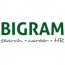 BIGRAM S.A. - Dyrektor Sprzedaży i Marketingu