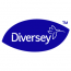 Diversey - Sales Support Assistant / Asystent ds. Wsparcia Sprzedaży