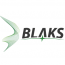 BLAKS Spółka Akcyjna - Asystent/ka Projektanta Instalacji Teletechnicznych