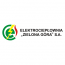 EC Zielona Góra S.A.