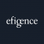 efigence S.A. - IT Client Success Manager